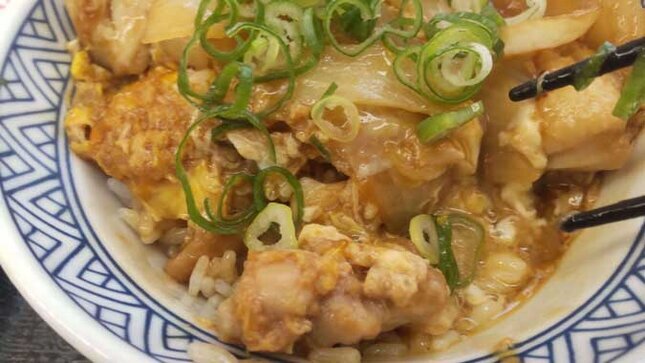 吉野家 親子丼 並盛り