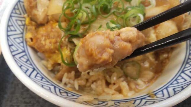 吉野家 親子丼 並盛り