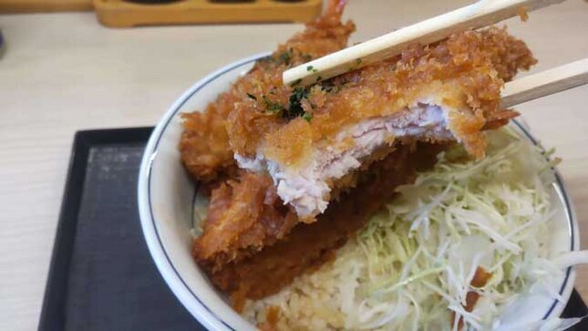 かつや タレカツ丼