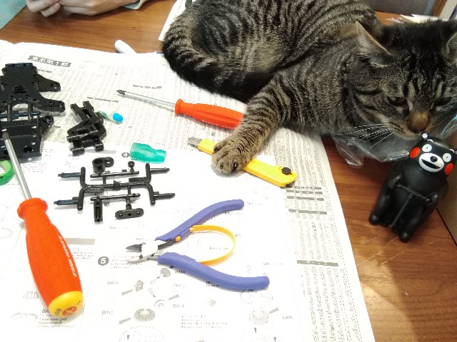 f:id:Shiny_Seattle:20210503103158j:image