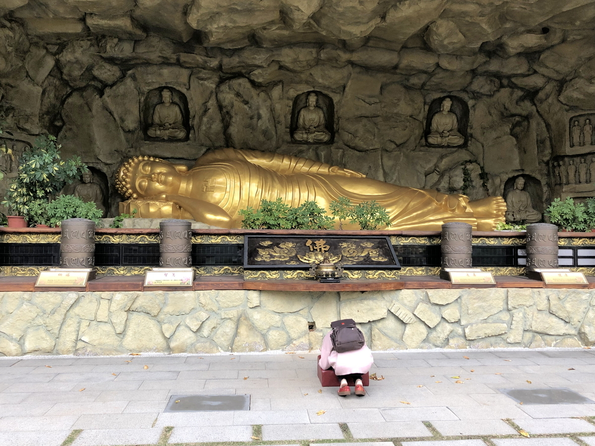 f:id:Shinycat:20191019223117j:plain f:id:Shinycat:20191019223117j:plain