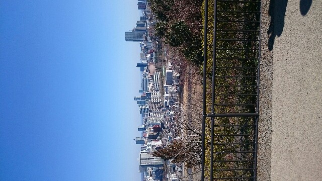f:id:Shio_sogeum:20190331235441j:image f:id:Shio_sogeum:20190331235441j:image