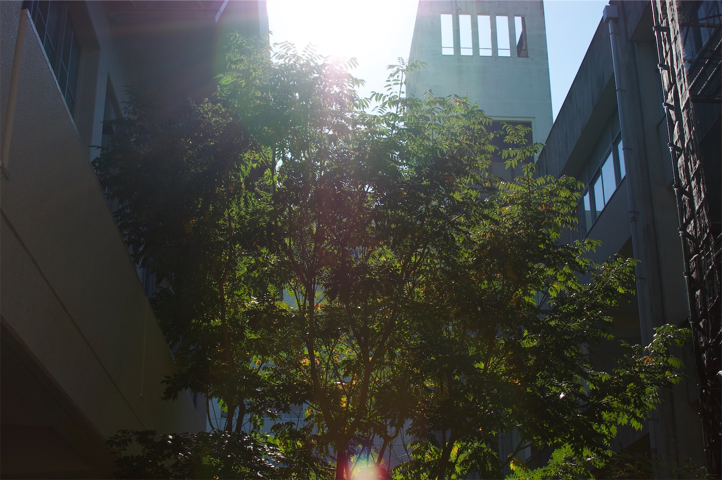f:id:Shirauo:20241127004916j:image