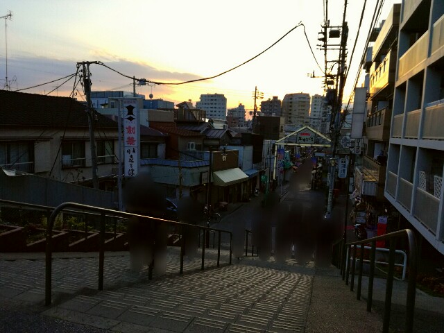 夕陽に染まる 夕焼けだんだん はらぺこシロの谷根千お散歩