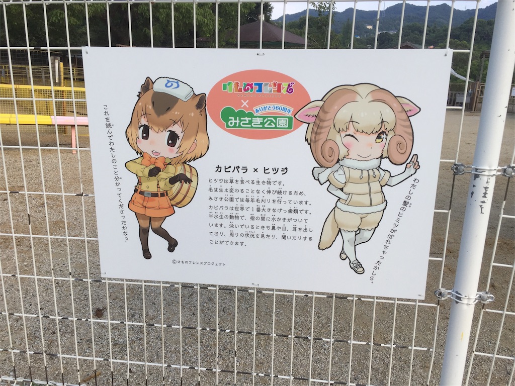けものフレンズコラボ みさき公園ナイトzooに行ってきた 映画やらアニメやら雑多ネタバレ感想ブログ