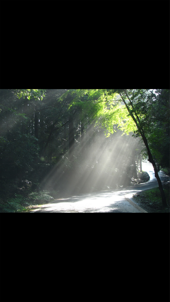 f:id:Shirosuke1219:20190314171500p:image f:id:Shirosuke1219:20190314171500p:image
