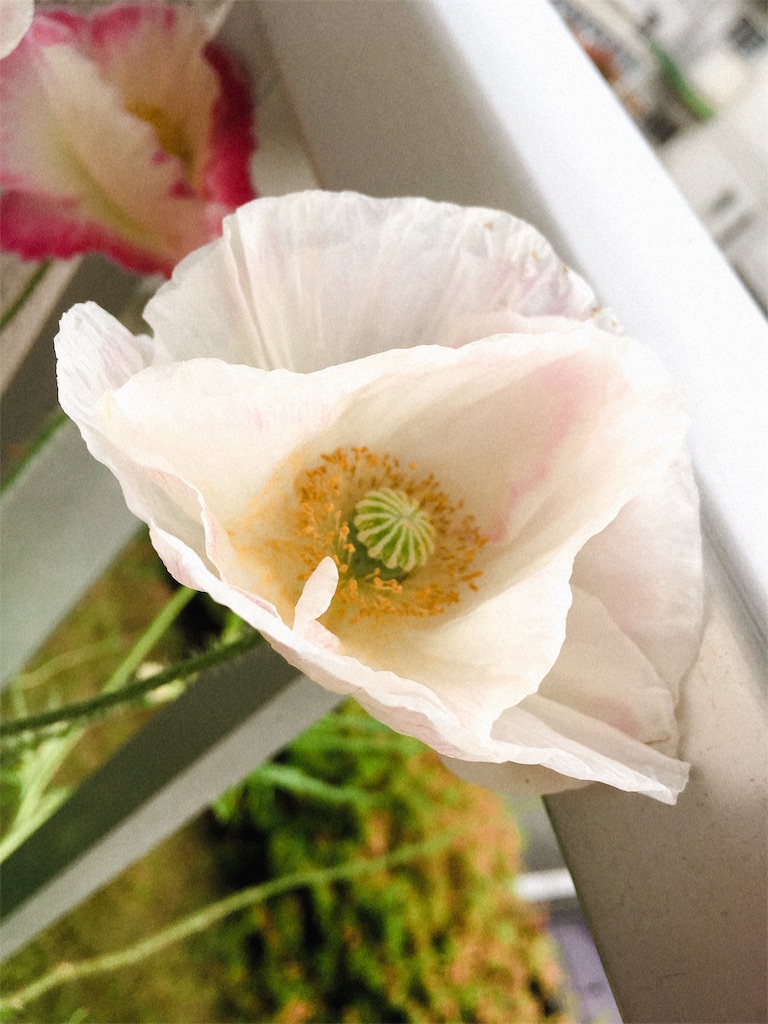 f:id:Shirosuke1219:20190513012719j:image f:id:Shirosuke1219:20190513012719j:image