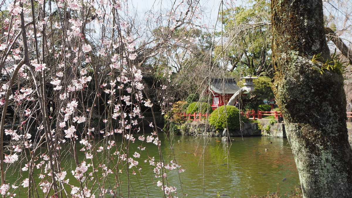 f:id:ShizuBunWalk:20200401224058j:plain