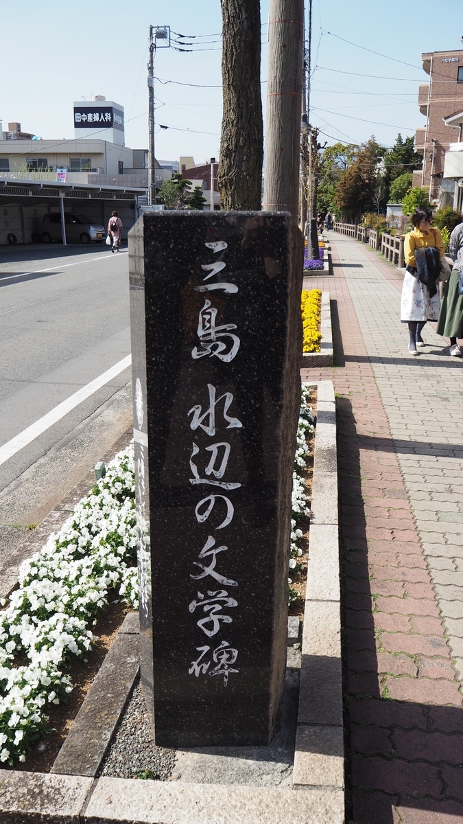 f:id:ShizuBunWalk:20200401225426j:plain