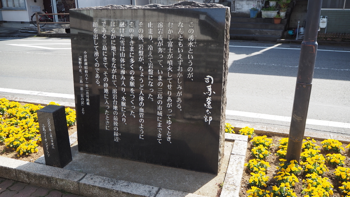 f:id:ShizuBunWalk:20200401225625j:plain