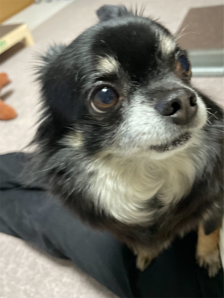 f:id:ShizukuAmano:20250125012010j:image f:id:ShizukuAmano:20250125012010j:image