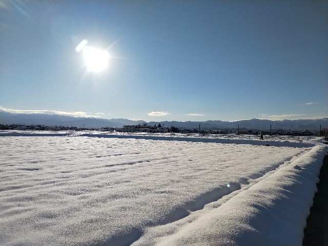 f:id:ShoheiKomatsu:20190101105414j:image f:id:ShoheiKomatsu:20190101105414j:image