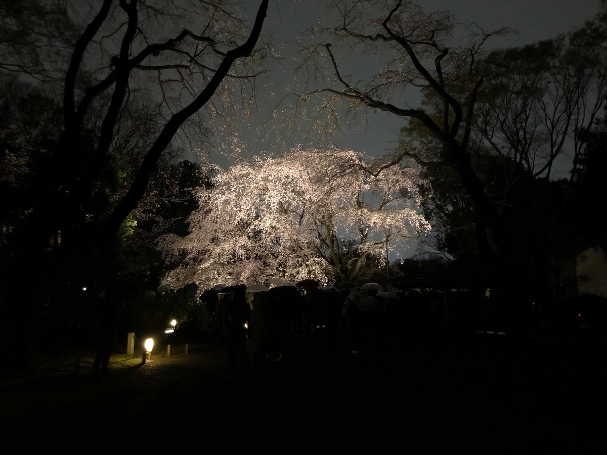 f:id:ShoheiKomatsu:20190331181747j:plain f:id:ShoheiKomatsu:20190331181747j:plain