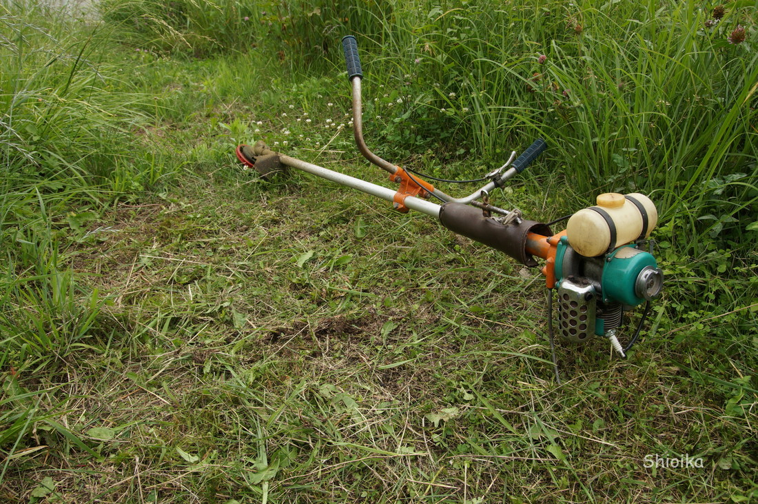 f:id:Shoika:20200621220153j:plain