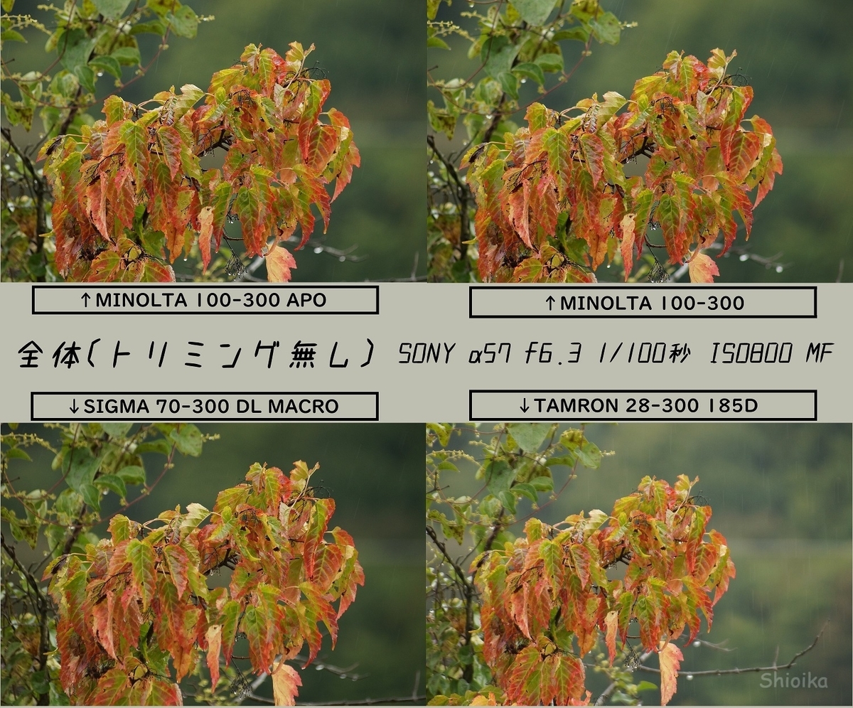 f:id:Shoika:20201011221106j:plain