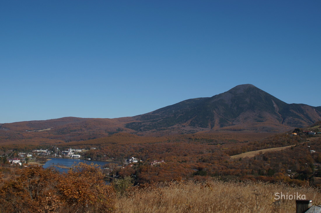 f:id:Shoika:20201101212818j:plain