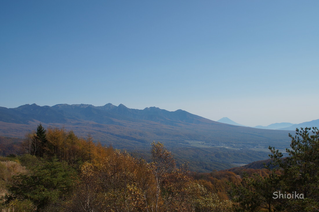 f:id:Shoika:20201101214022j:plain