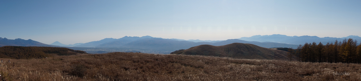 f:id:Shoika:20201101214622j:plain