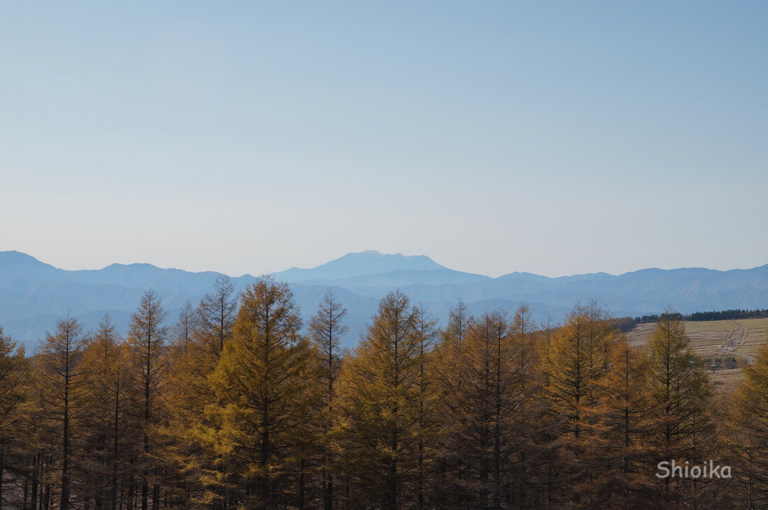 f:id:Shoika:20201101214906j:plain