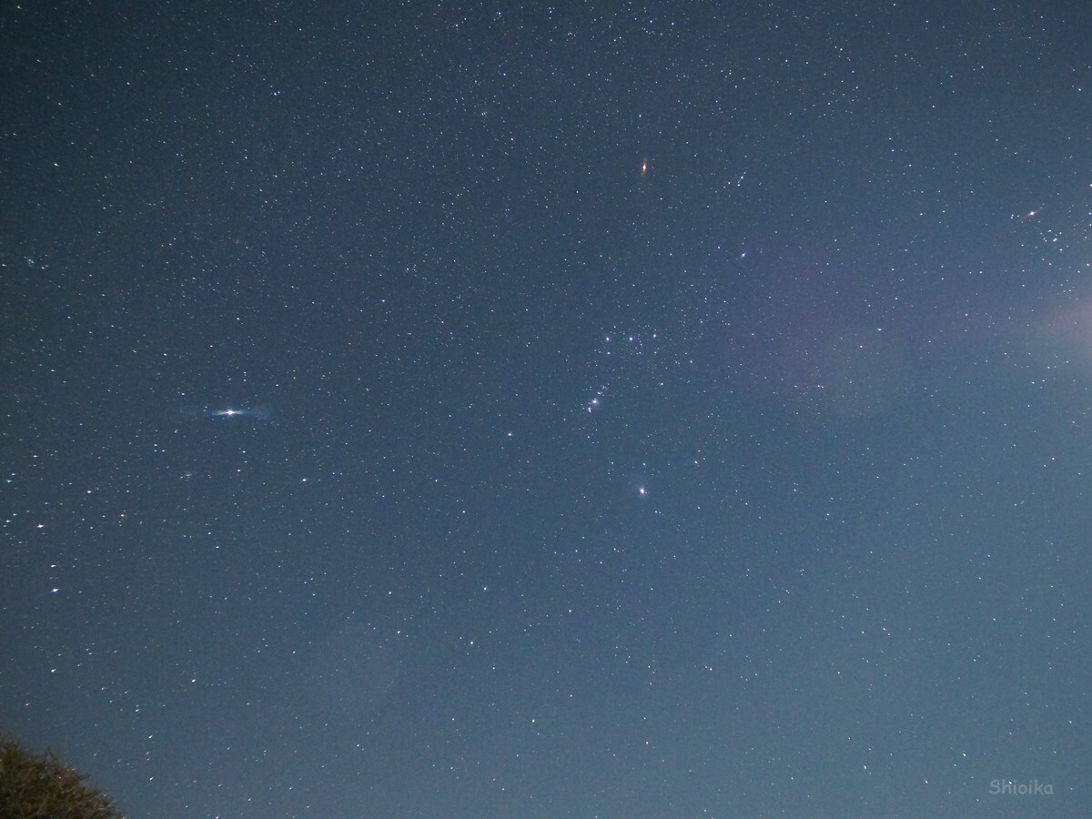 f:id:Shoika:20210219224210j:plain