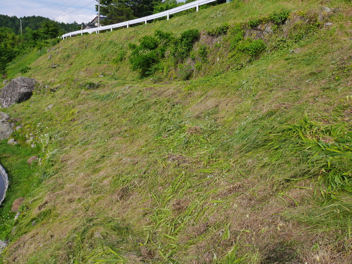 草刈りの新戦力になるか？ 丸山 「ツインブレード旋風」を試す