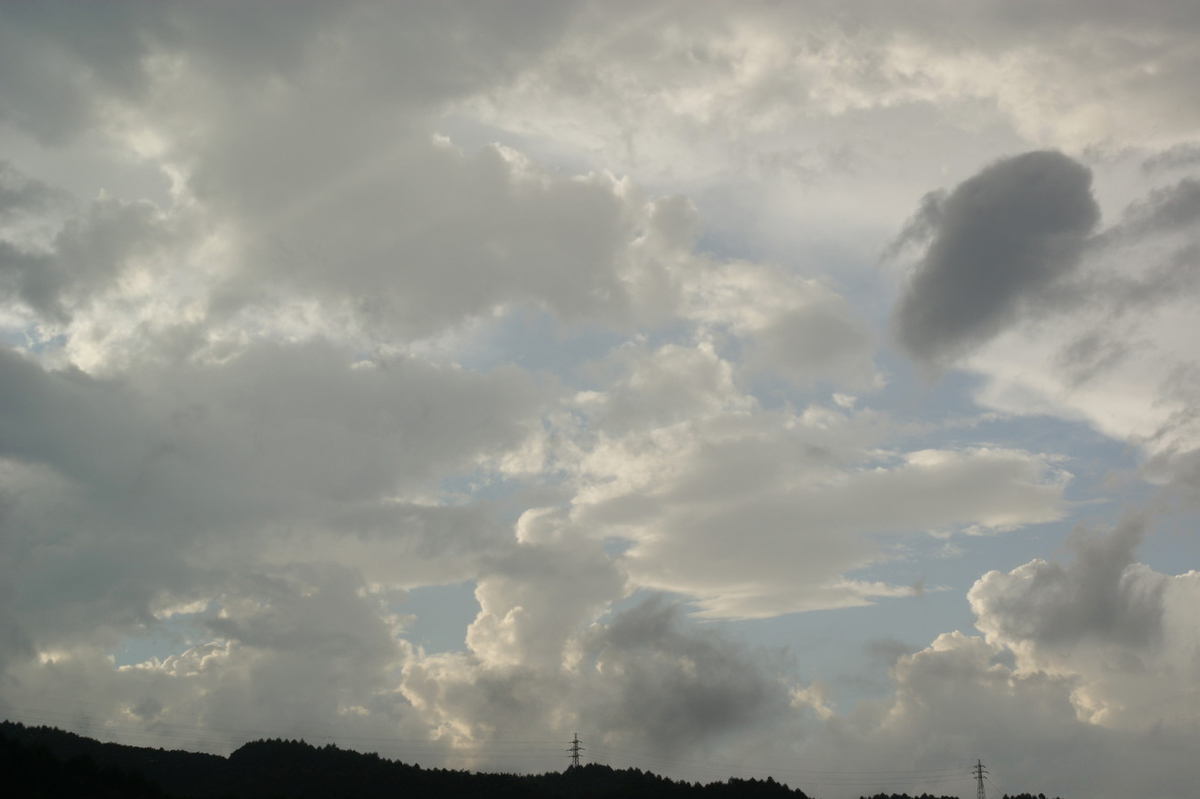 f:id:Shoika:20210729215443j:plain