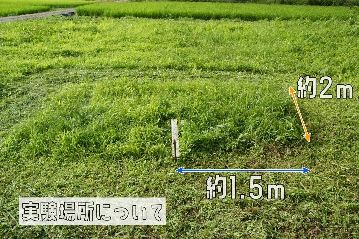 f:id:Shoika:20210731210339j:plain