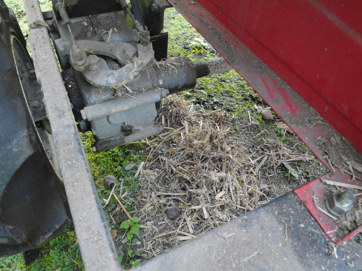 f:id:Shoika:20211003193909j:plain