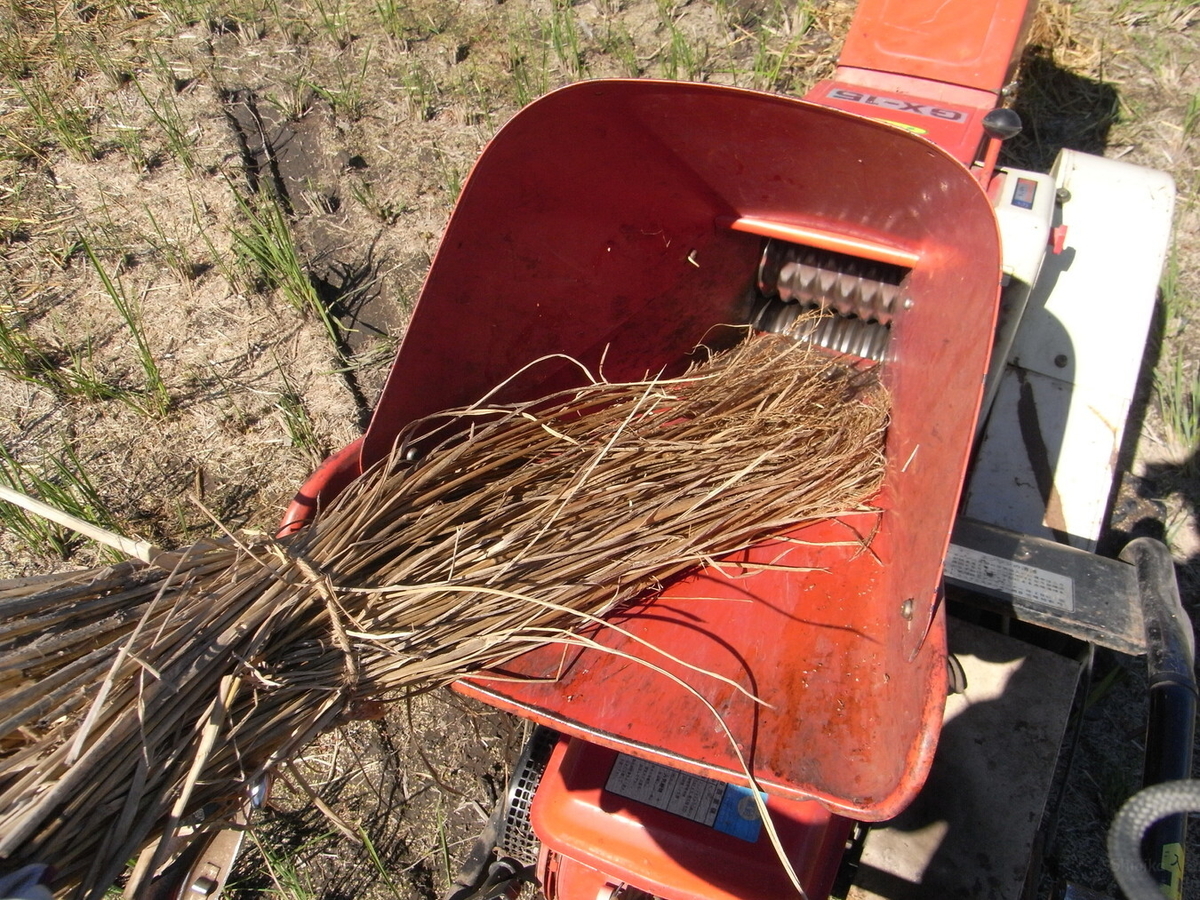 f:id:Shoika:20211003194532j:plain