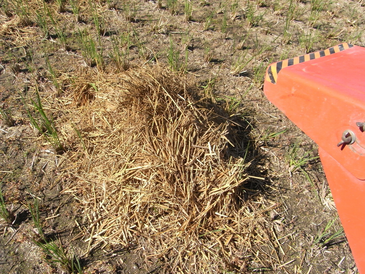 f:id:Shoika:20211003194553j:plain