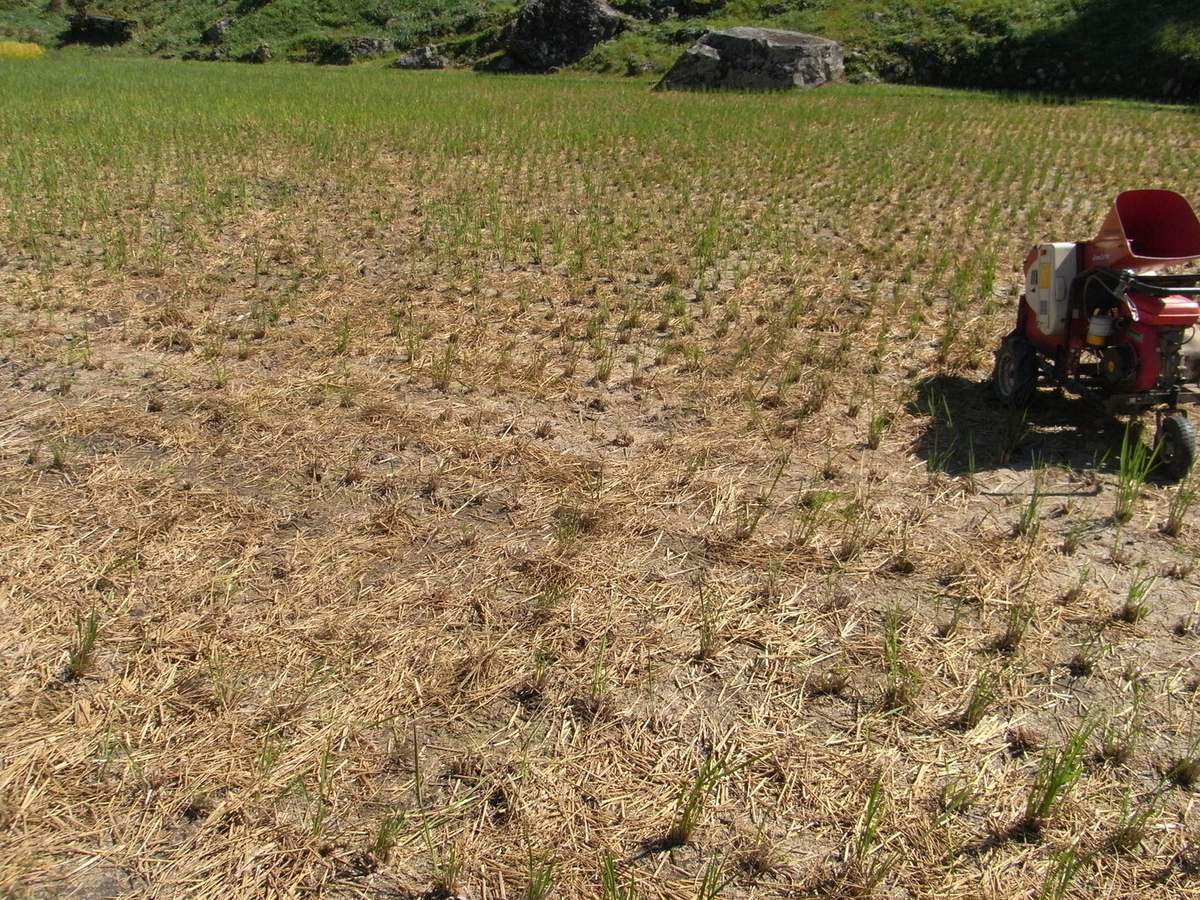 f:id:Shoika:20211003194940j:plain