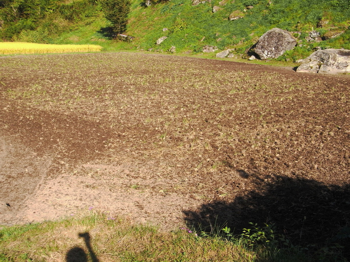 f:id:Shoika:20211003195005j:plain