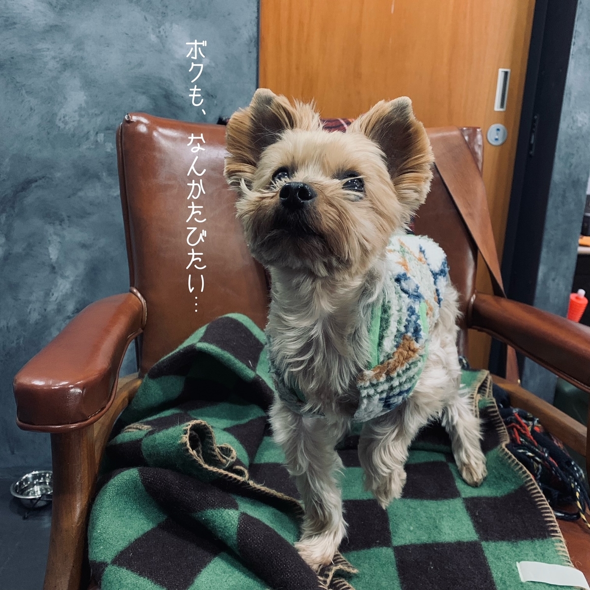 f:id:ShotaMaeda:20220131183428j:plain