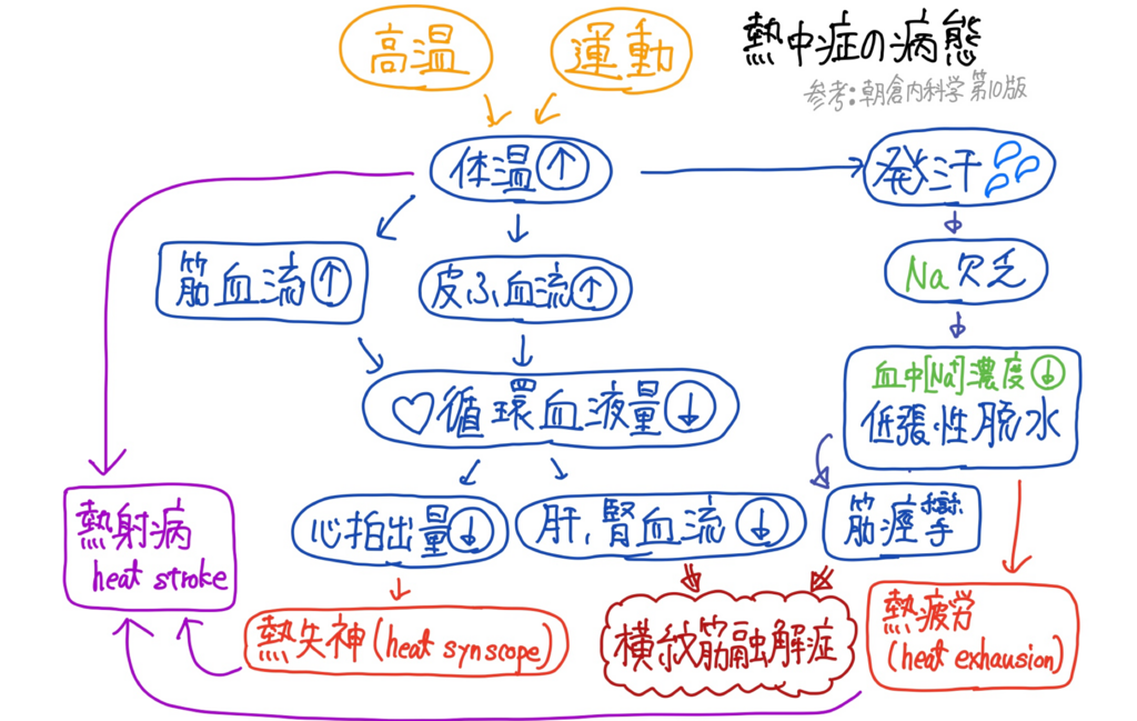 f:id:Shotaro_mkw:20180724170307p:plain f:id:Shotaro_mkw:20180724170307p:plain