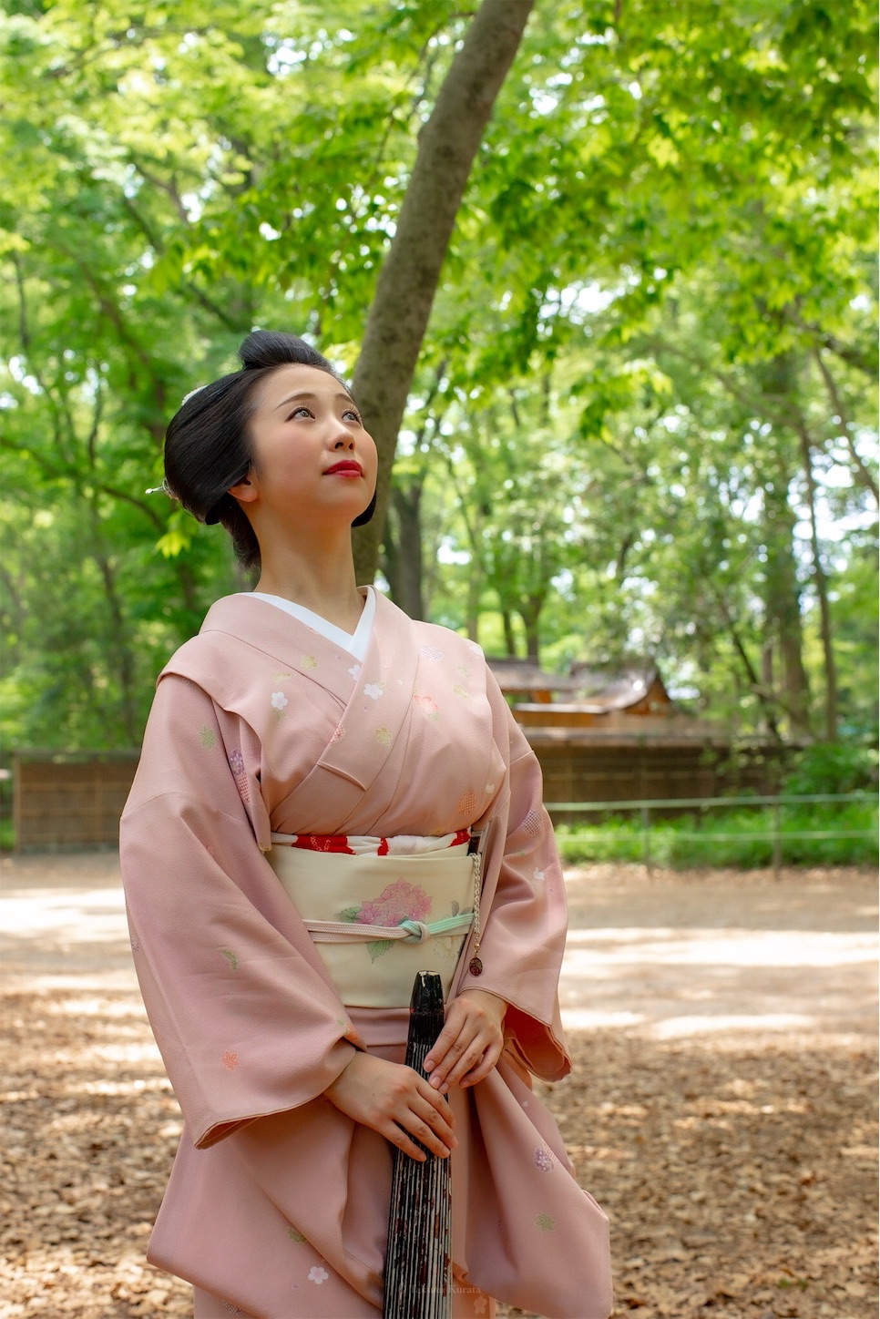 f:id:Shotetsuan:20190526202400j:plain f:id:Shotetsuan:20190526202400j:plain