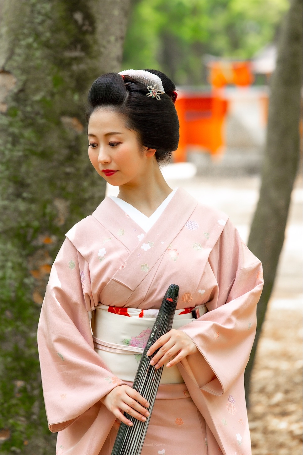 f:id:Shotetsuan:20190526202438j:plain f:id:Shotetsuan:20190526202438j:plain