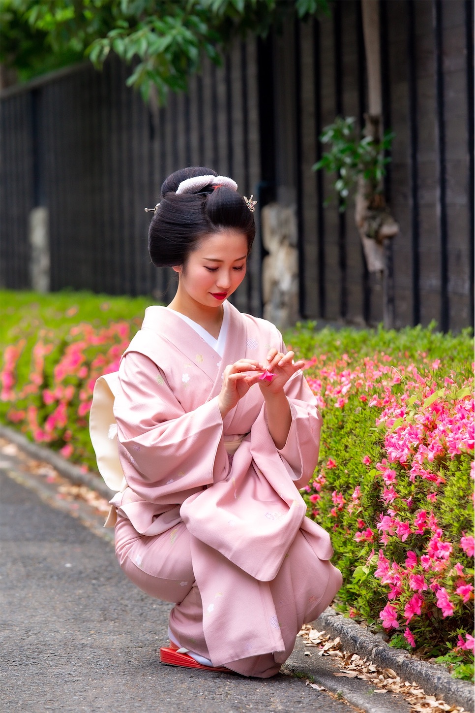 f:id:Shotetsuan:20190526202453j:plain f:id:Shotetsuan:20190526202453j:plain