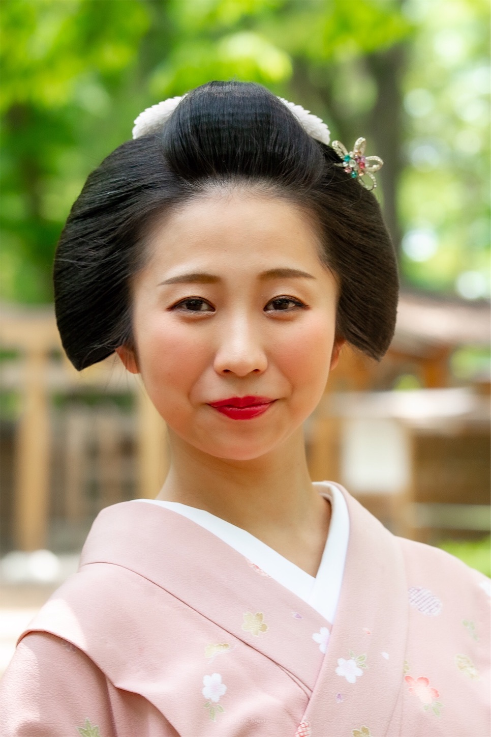 f:id:Shotetsuan:20190526202517j:plain f:id:Shotetsuan:20190526202517j:plain