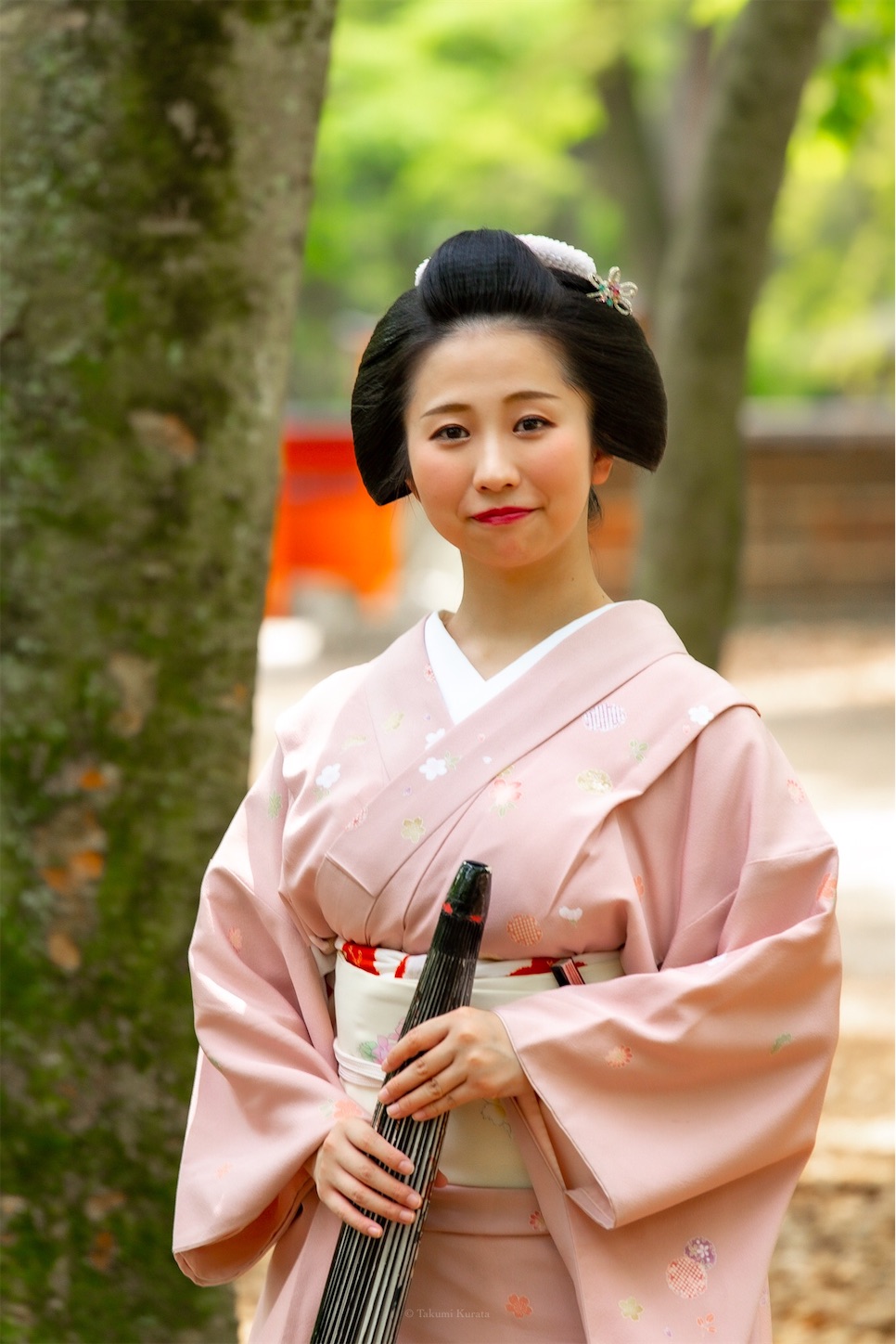 f:id:Shotetsuan:20190526202537j:plain f:id:Shotetsuan:20190526202537j:plain