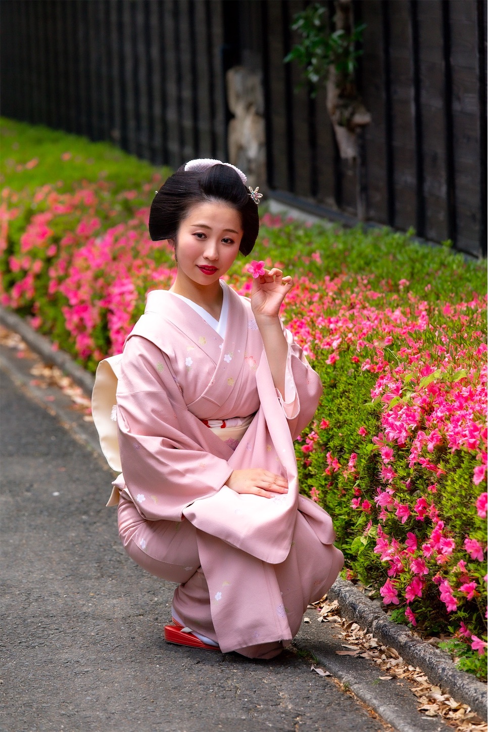 f:id:Shotetsuan:20190526202556j:plain f:id:Shotetsuan:20190526202556j:plain