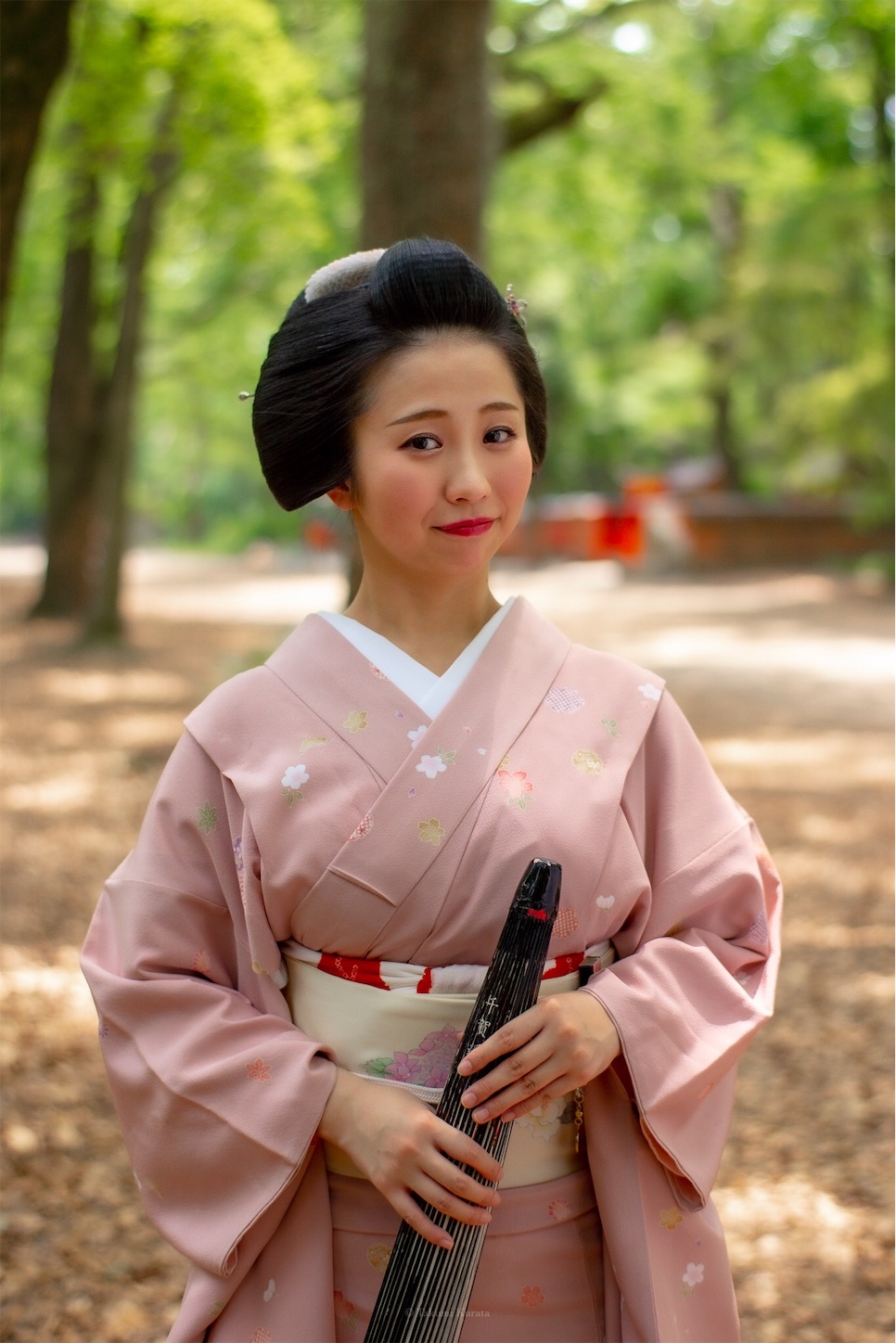 f:id:Shotetsuan:20190526202601j:plain f:id:Shotetsuan:20190526202601j:plain