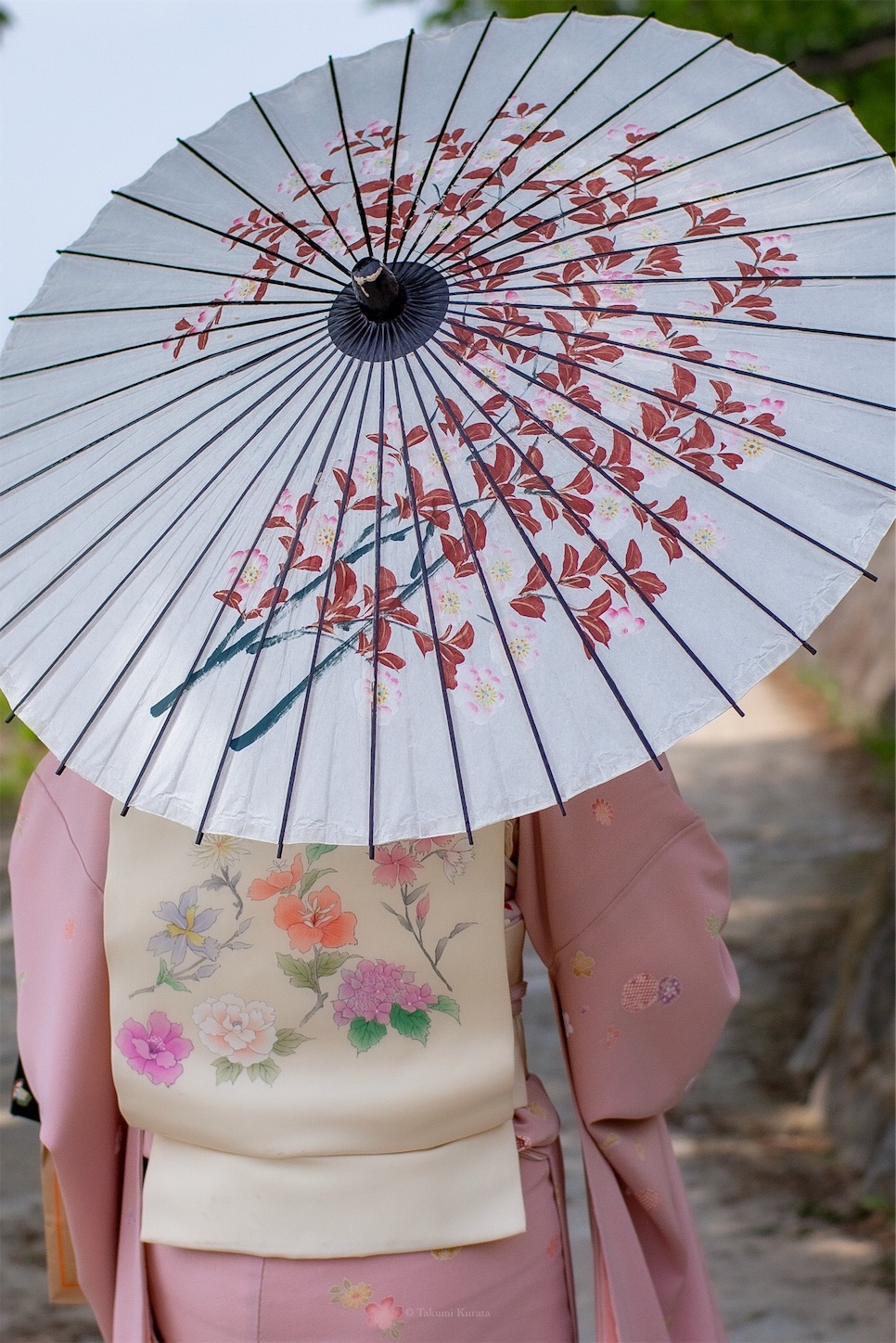 f:id:Shotetsuan:20190526202620j:plain f:id:Shotetsuan:20190526202620j:plain