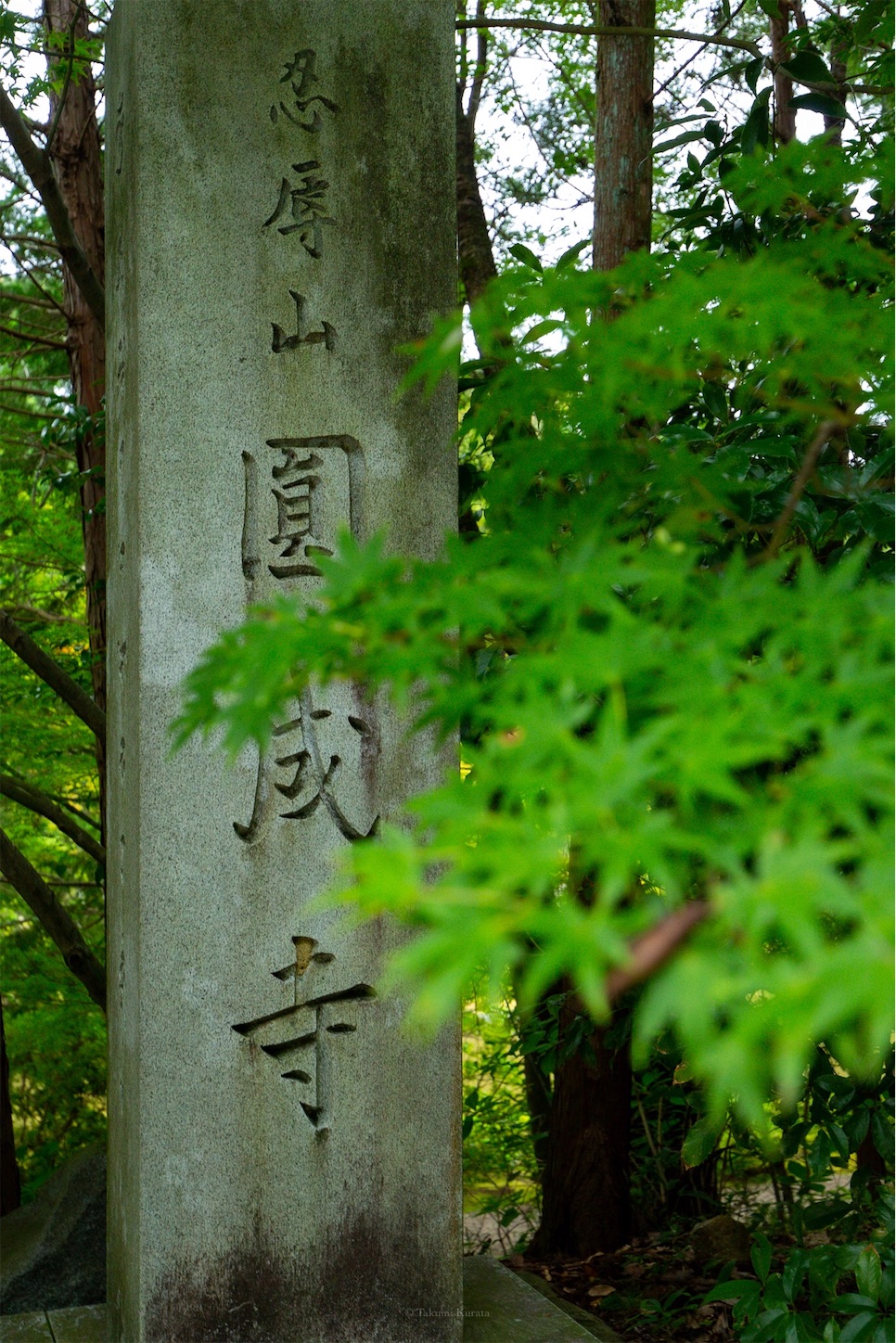 f:id:Shotetsuan:20191114225941j:plain f:id:Shotetsuan:20191114225941j:plain