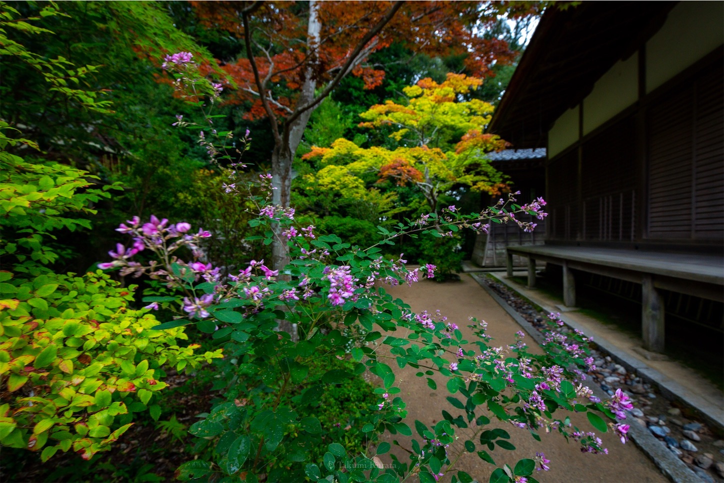 f:id:Shotetsuan:20191114225945j:plain f:id:Shotetsuan:20191114225945j:plain