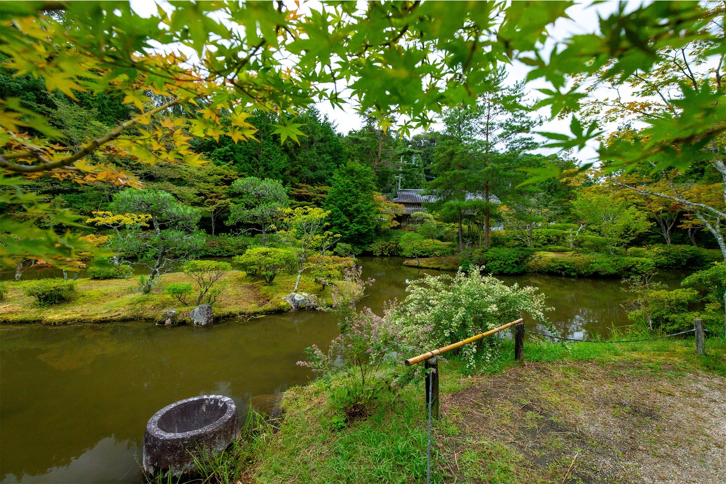 f:id:Shotetsuan:20191114230012j:plain f:id:Shotetsuan:20191114230012j:plain