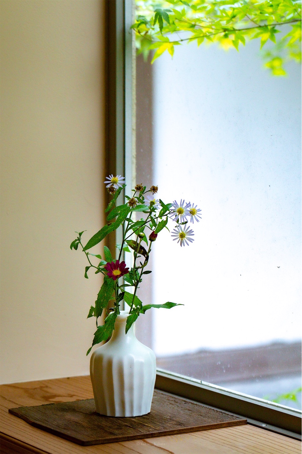f:id:Shotetsuan:20191114230016j:plain f:id:Shotetsuan:20191114230016j:plain