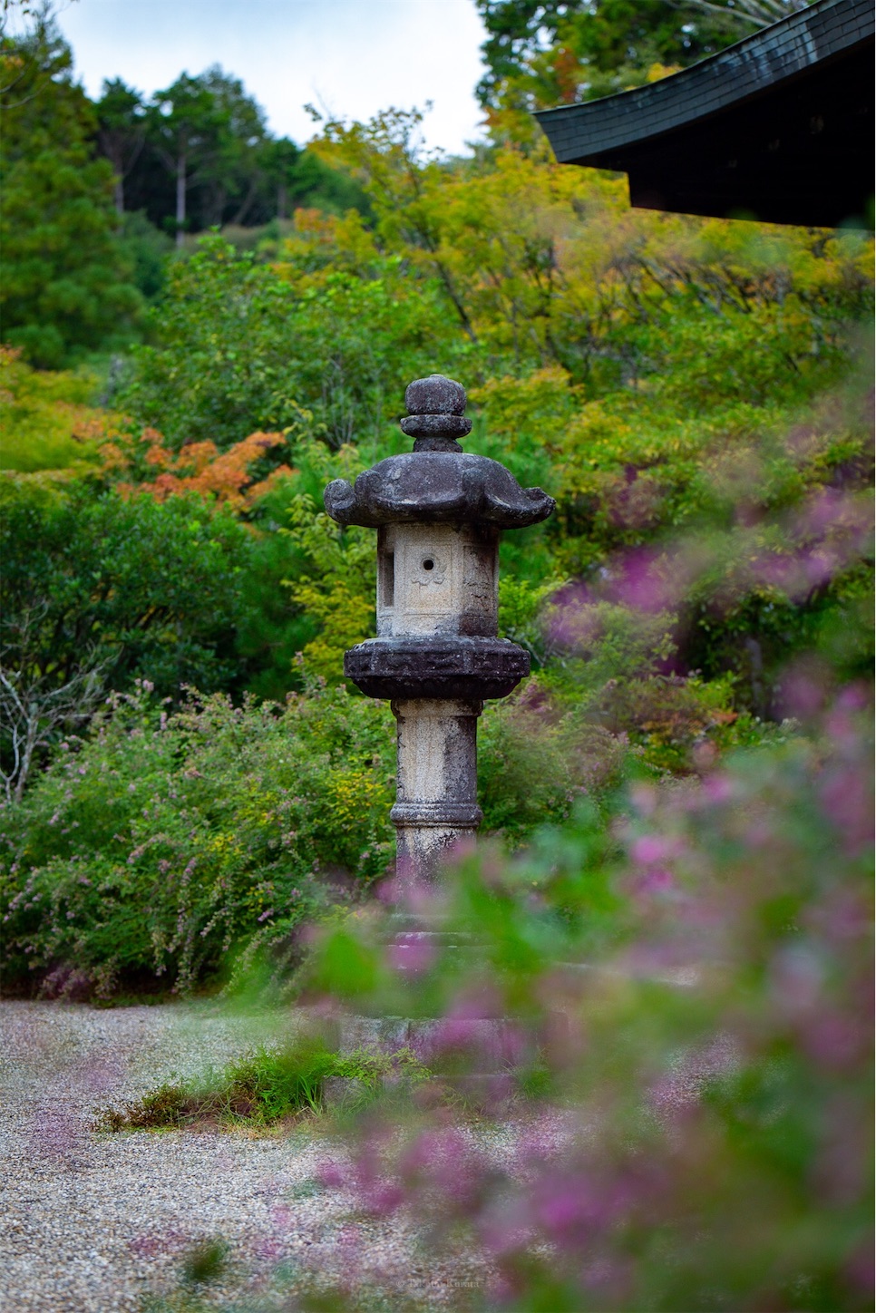f:id:Shotetsuan:20191114230025j:plain f:id:Shotetsuan:20191114230025j:plain