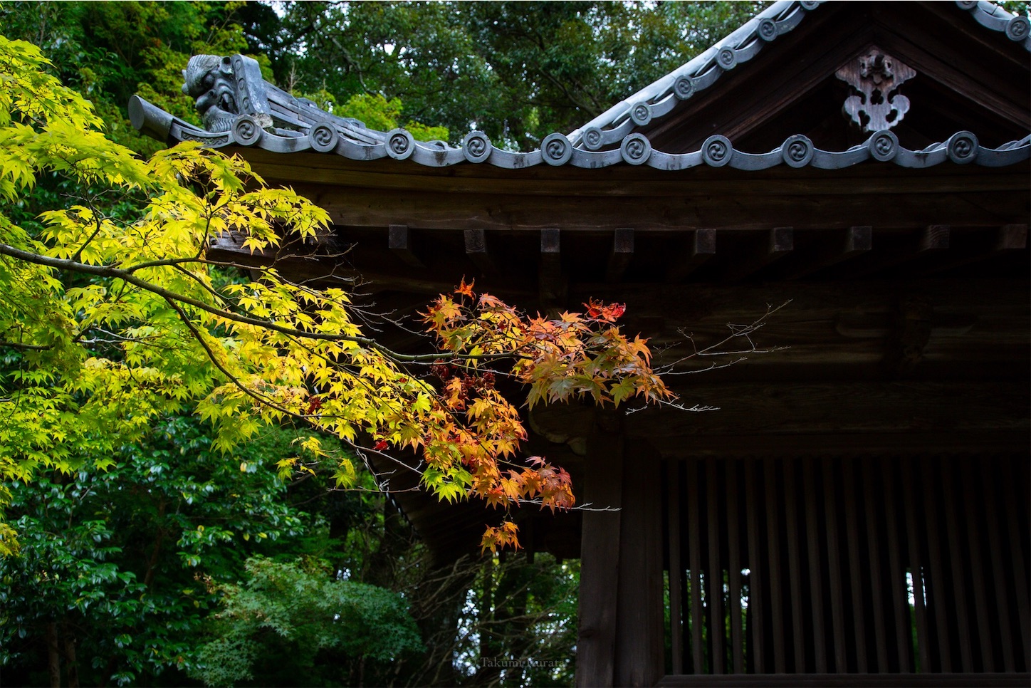 f:id:Shotetsuan:20191114230034j:plain f:id:Shotetsuan:20191114230034j:plain