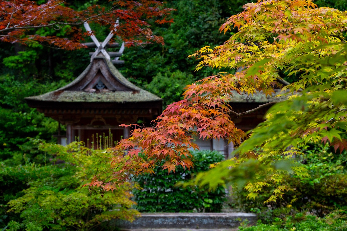 f:id:Shotetsuan:20191114230038j:plain f:id:Shotetsuan:20191114230038j:plain