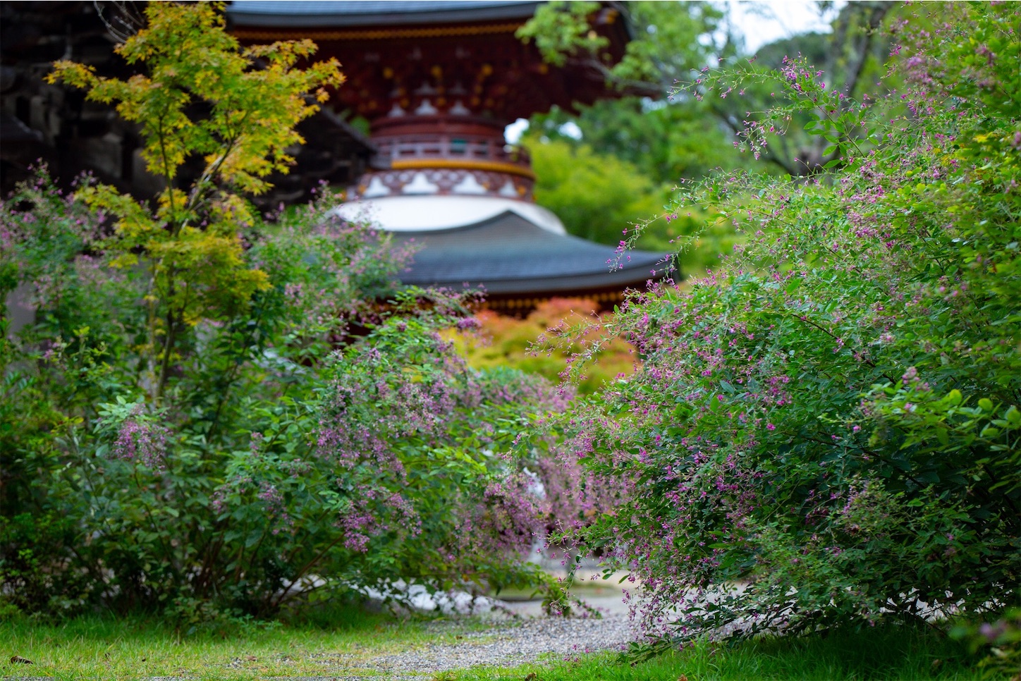 f:id:Shotetsuan:20191114230042j:plain f:id:Shotetsuan:20191114230042j:plain